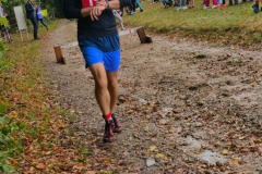 Solisko12
