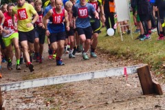 Solisko14