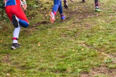 Solisko16