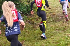 Solisko19